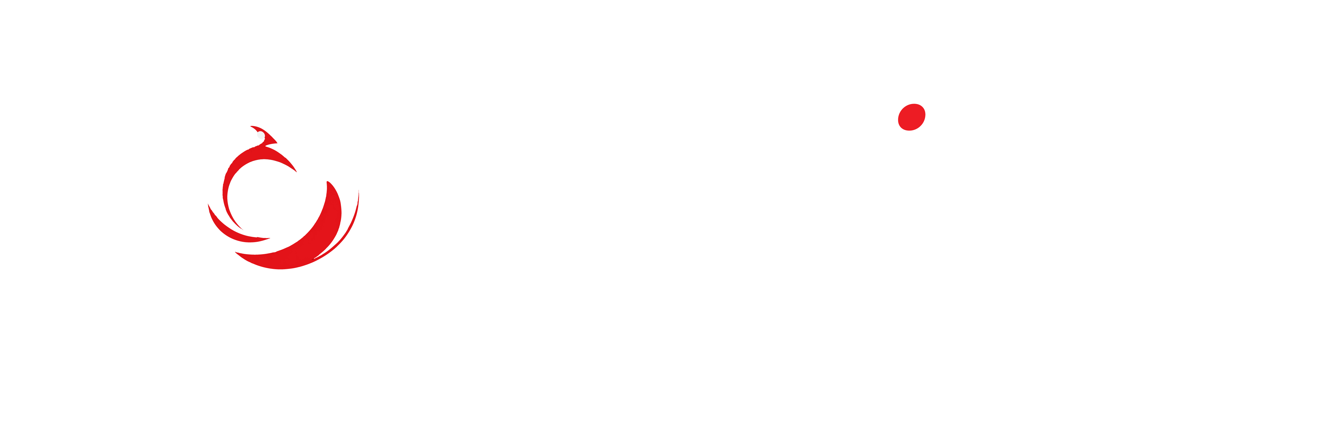 Sngine